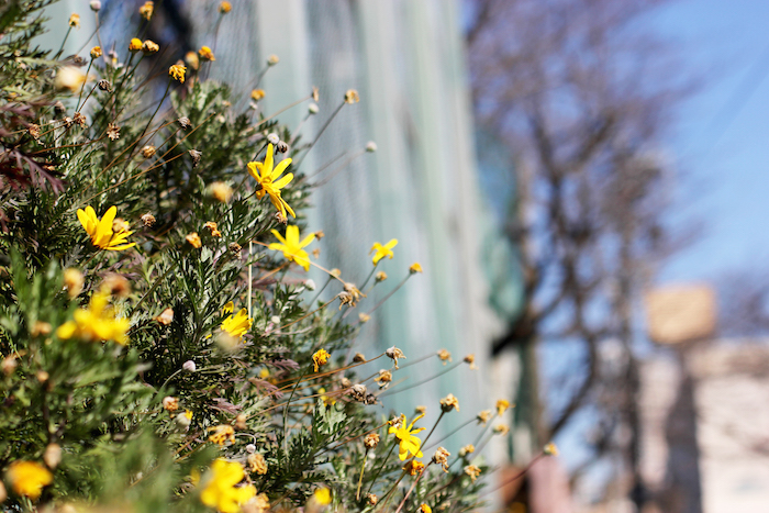 WOMENS STYLE × HB CLOUDY SHIRTS