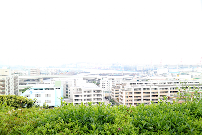 A day in the holidays