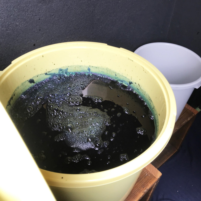 AWA INDIGO